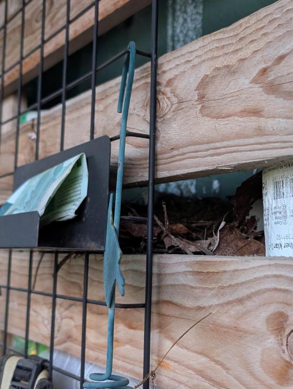 20260706_nest.jpg